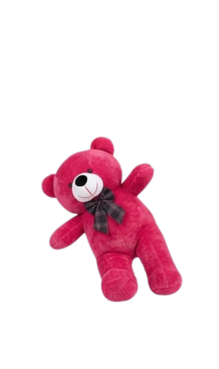 2.5 Ft Teddy Bear – Soft Plush Huggable Toy