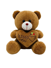 8 inch Teddy Bear with Heart