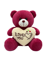8 inch Teddy Bear with Heart