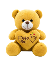 8 inch Teddy Bear with Heart
