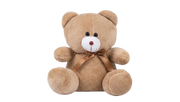 1 Ft Cute Mini Teddy Bear