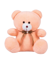 1 Ft Cute Mini Teddy Bear